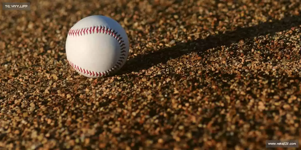 我们的核心竞争力